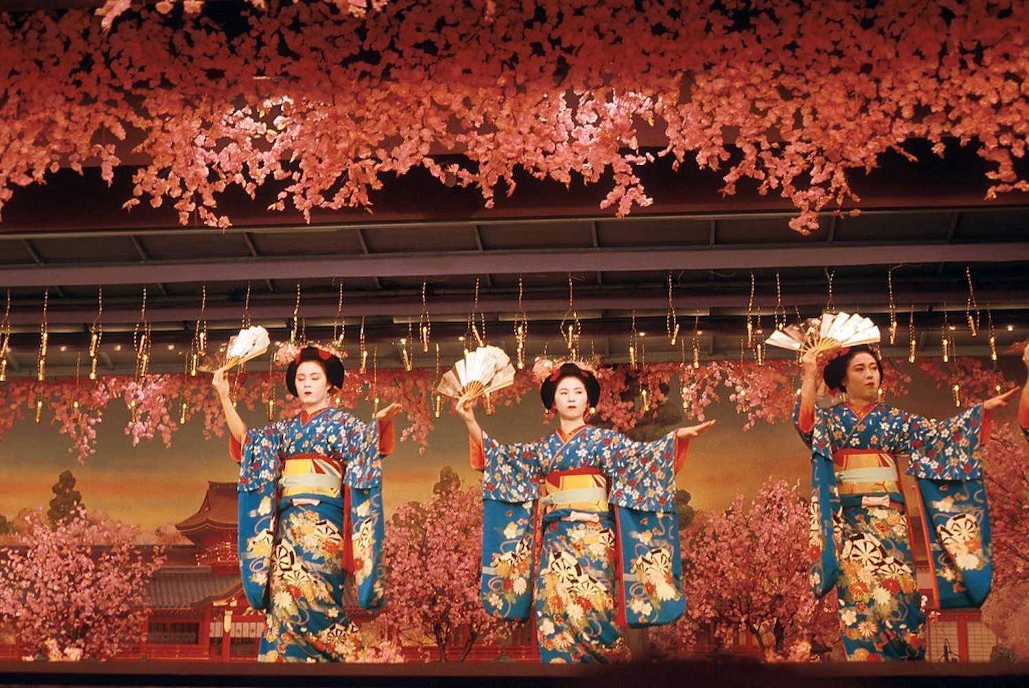 Geisha Performance