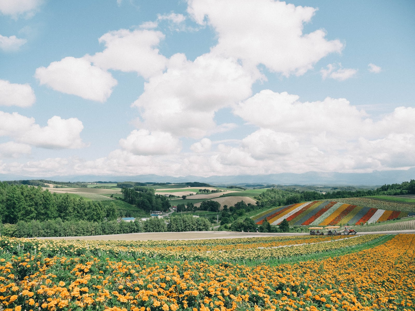 Summer in Japan