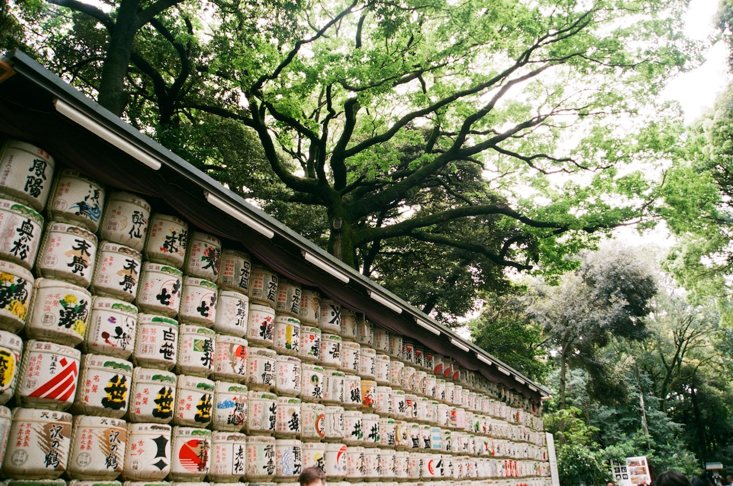 Meiji Shrine