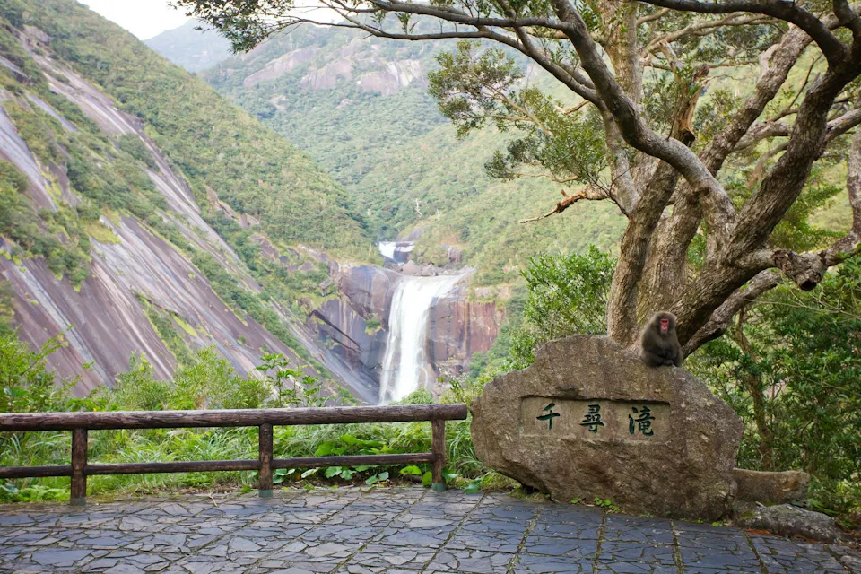 Yakushima Island