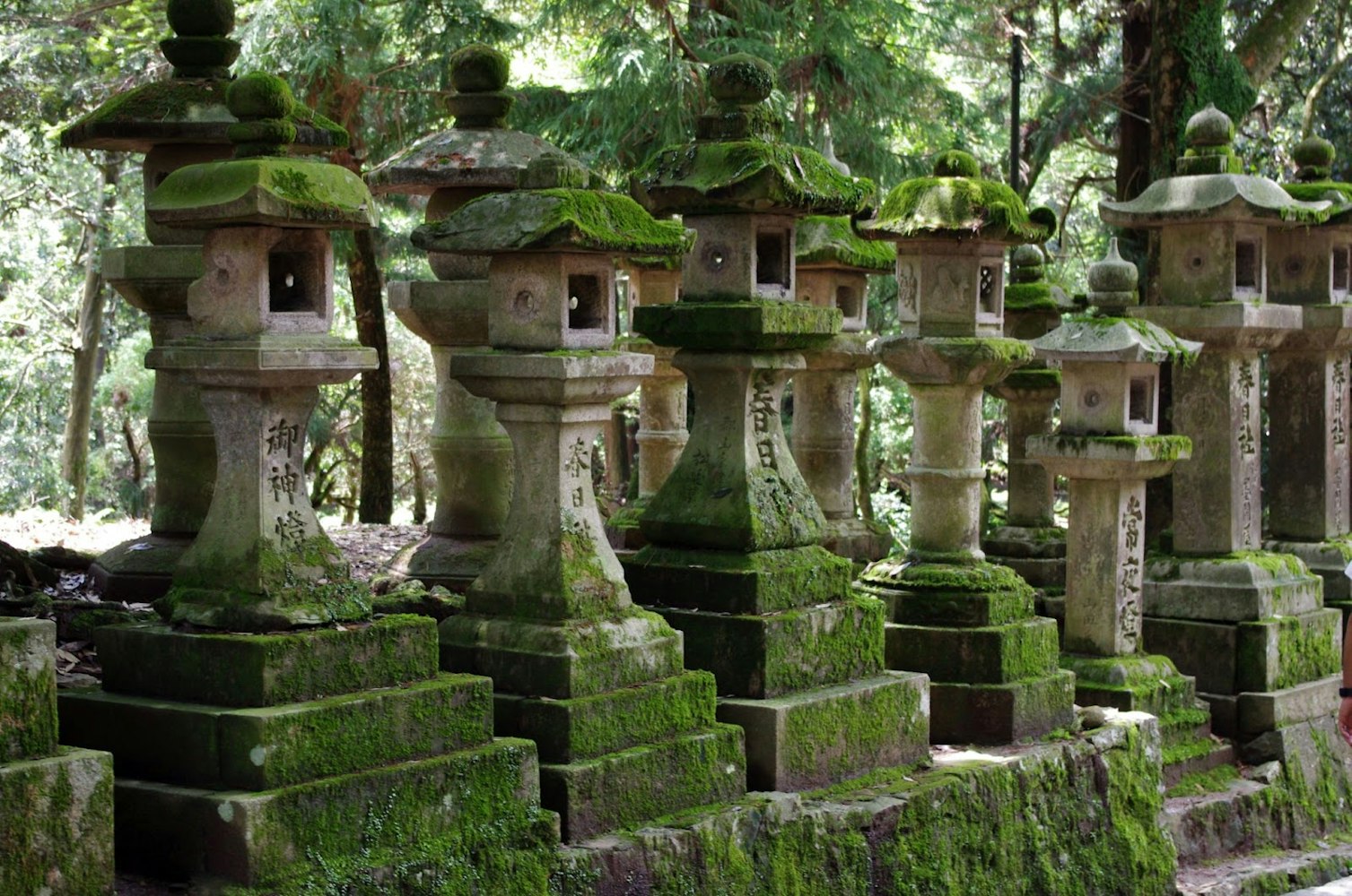 Stone Lanterns