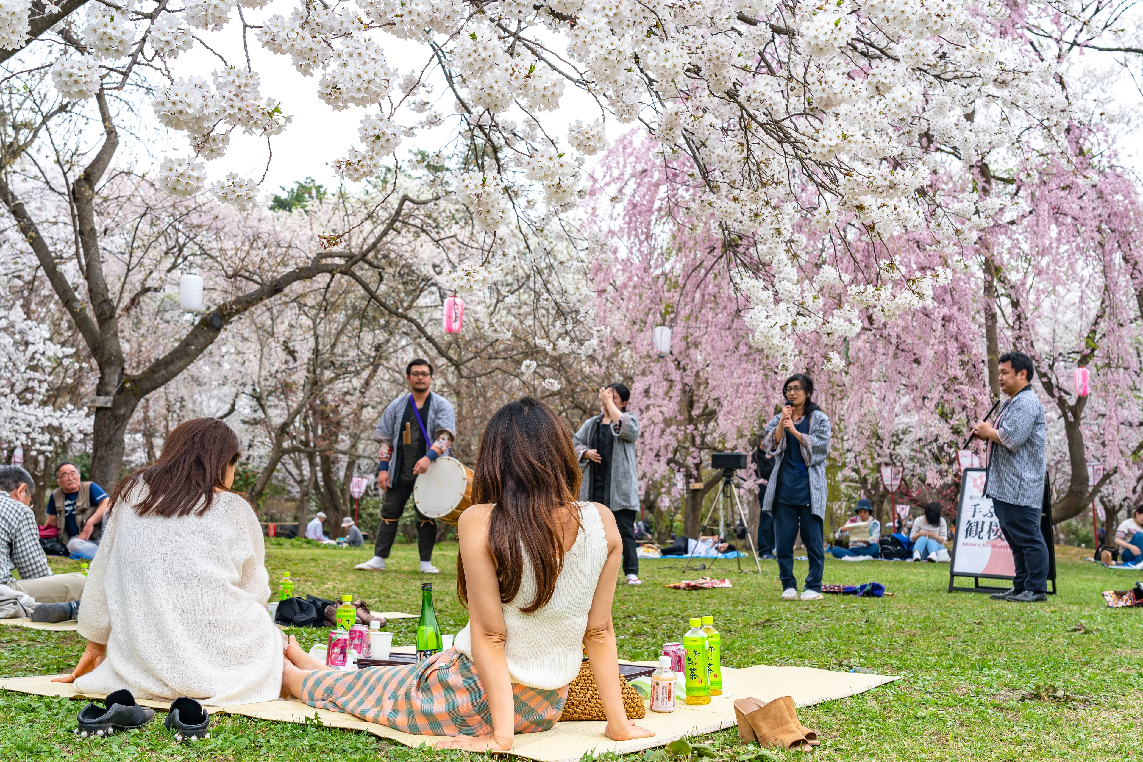 Spring Matsuri Top 12 Japanese Spring Festivals & Cultural Celebrations - Trip To Japan