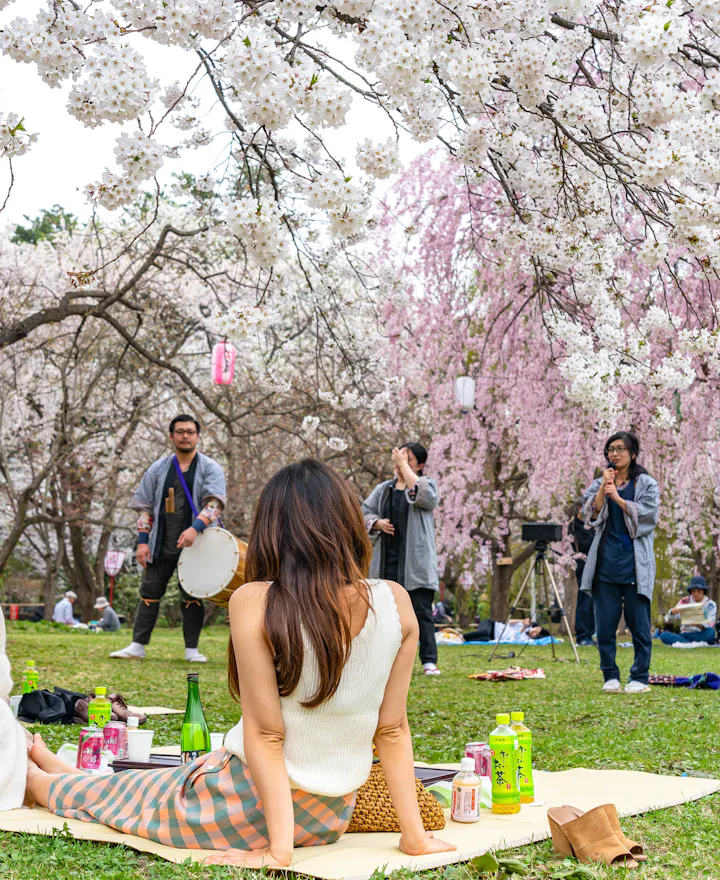 Hirosaki Park Cherry Blossoms Matsuri Festival Hirosaki Park Cherry Blossoms Matsuri Festival