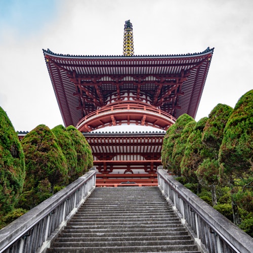 Narita Shinshoji Temple A traditional Japanese pagoda peeks between symmetrically aligned, manicured trees. The stone staircase leads up to the pagoda, showcasing its vibrant red wooden structure and intricate roofing details against a partly cloudy sky.
