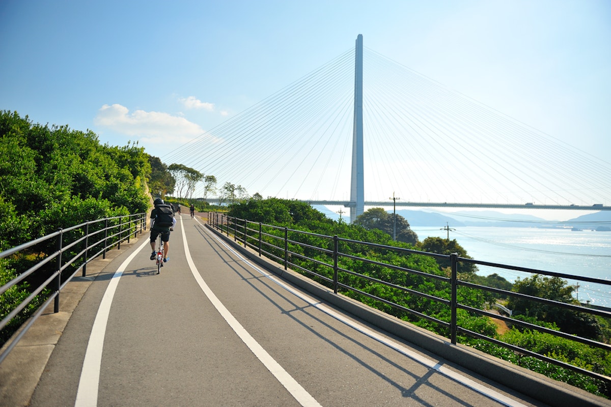 A cyclist rides on a smooth, paved path with white lane markings, bordered by lush green trees on one side and a scenic waterfront view on the other. In the background, a modern cable-stayed bridge spans across the water under a clear blue sky.