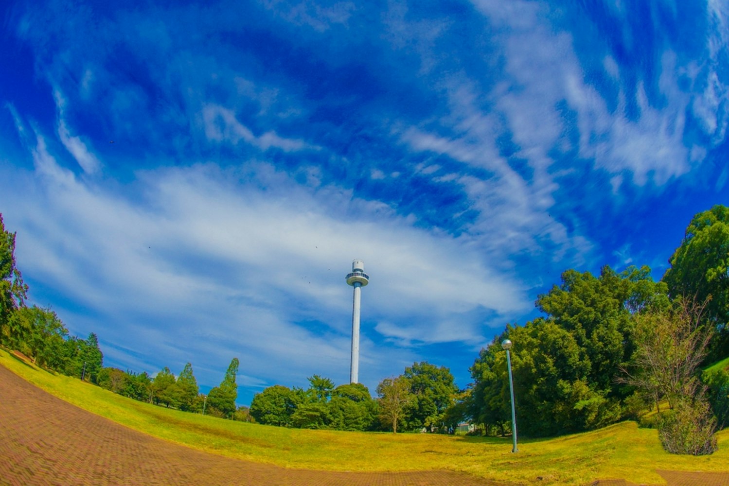 Tokorozawa City