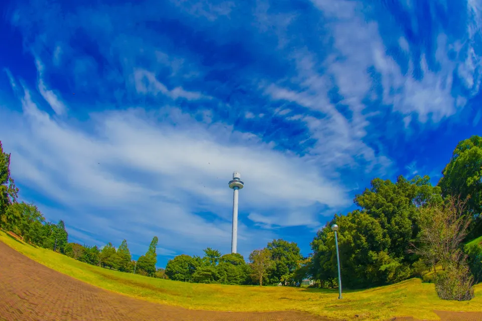 A tall, white observation tower rises above a lush, green park with a brick pathway winding through it. The bright blue sky is dotted with white, wispy clouds, and the scene is surrounded by dense trees and well-kept lawns.