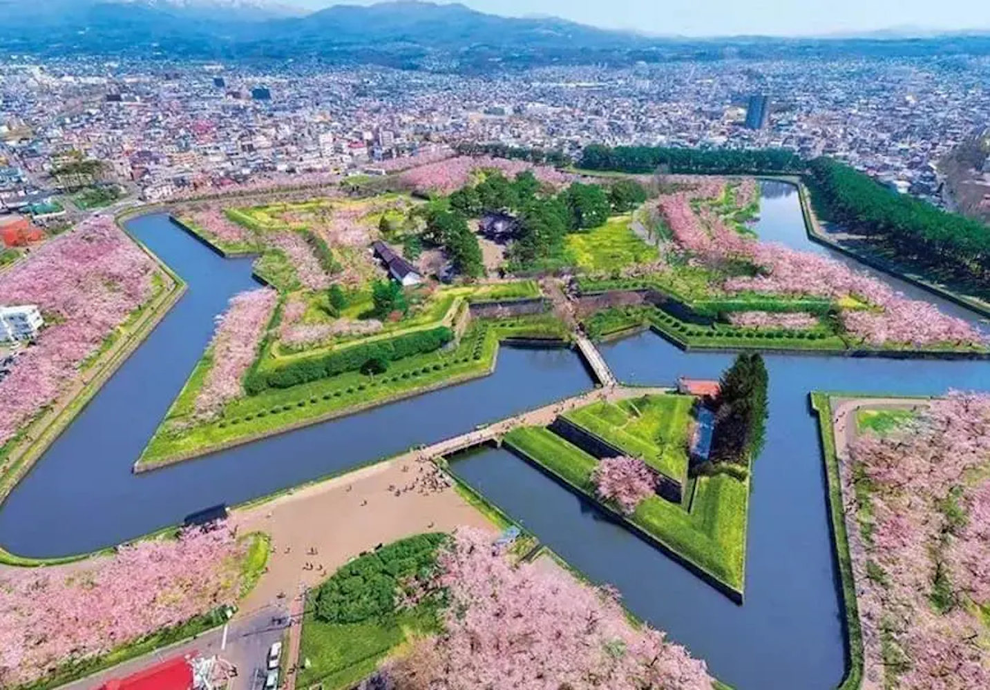 An aerial view of Hakodate City Fort Goryokaku, where the cherry blossoms are in full bloom, creating a picturesque scene.