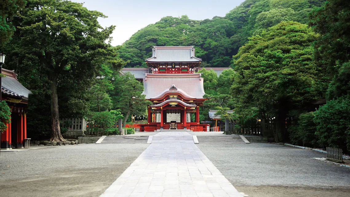 A serene pathway winding through lush trees, guiding visitors to the enchanting Tsurugaoka Hachimangu Shrine in Japan. A serene view of a traditional Japanese shrine surrounded by lush greenery. The shrine features ornate red and white structures with wide, stone-paved pathways leading to the main building. The peaceful setting is framed by large, verdant trees on either side.