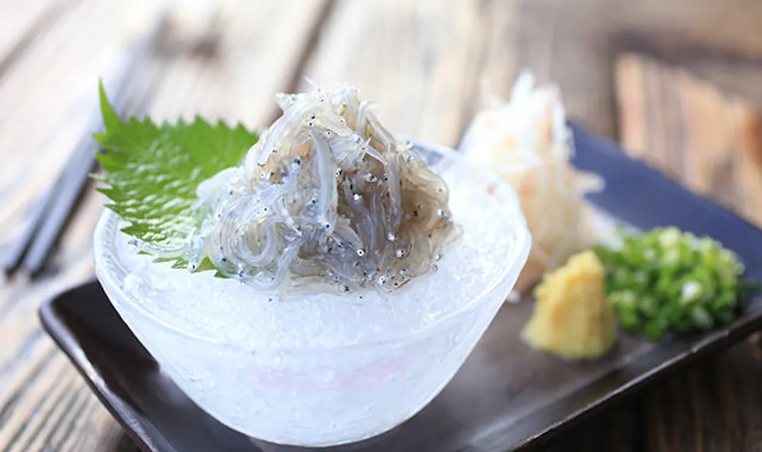 A delightful bowl of Kamakura's traditional dish, "Shirasu," rests on a sleek black tray beside a tantalizing sauce. A bowl of ice holding a serving of whitebait sashimi garnished with a green shiso leaf. The fish are small, translucent, and lightly speckled. The plate includes a side of ginger, chopped green onions, and what appears to be shredded radish.