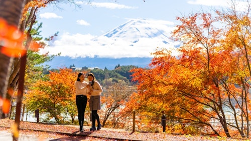 Autumn in Japan