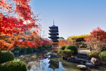 Five-story pagoda and garden with autumn leaves at Toji temple in Kyoto