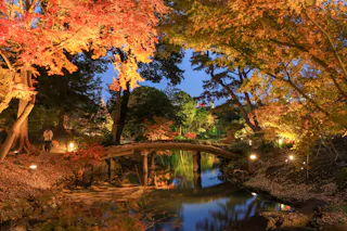 A tranquil garden scene at dusk, featuring a small, arching wooden bridge over a gently flowing stream. The surrounding trees display vibrant autumn foliage in red, orange, and yellow hues, illuminated by soft, ambient lighting.