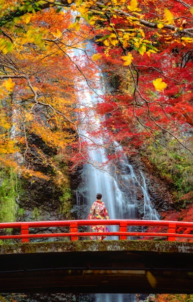 美丽的箕面公园 - Trip To Japan