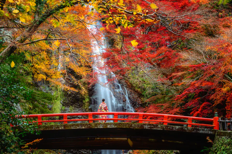 Japanese Girl in Traditional Kimono Dress on the Red Bridge in Minoh Waterfall Park Japanese Girl in Traditional Kimono Dress on the Red Bridge in Minoh Waterfall Park
