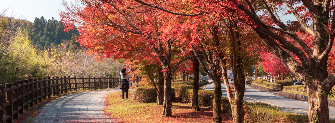 Autumn in Kirishima Japan Autumn in Kirishima Japan