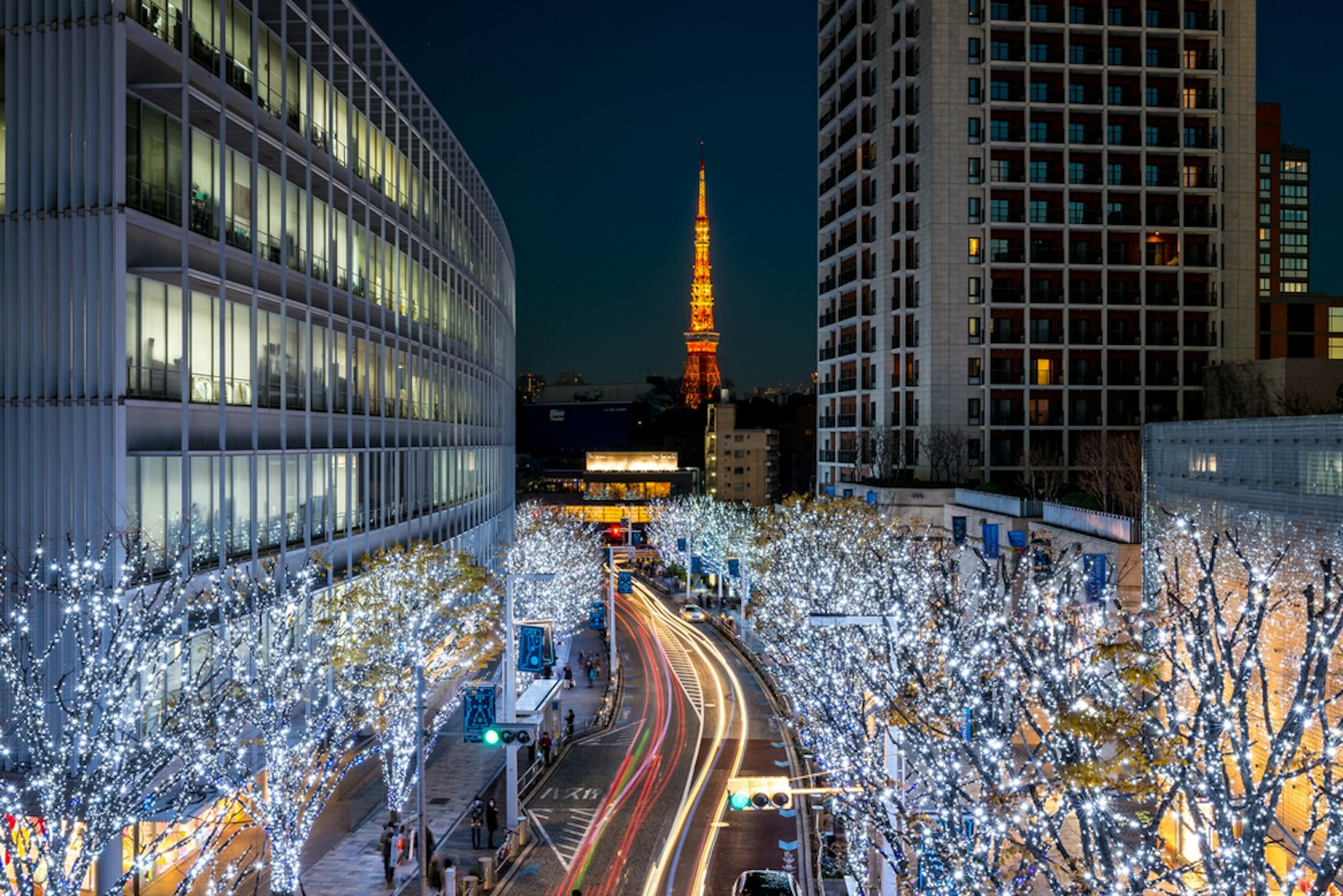 Tokyo Tower with Christmas illumination at Roppongi