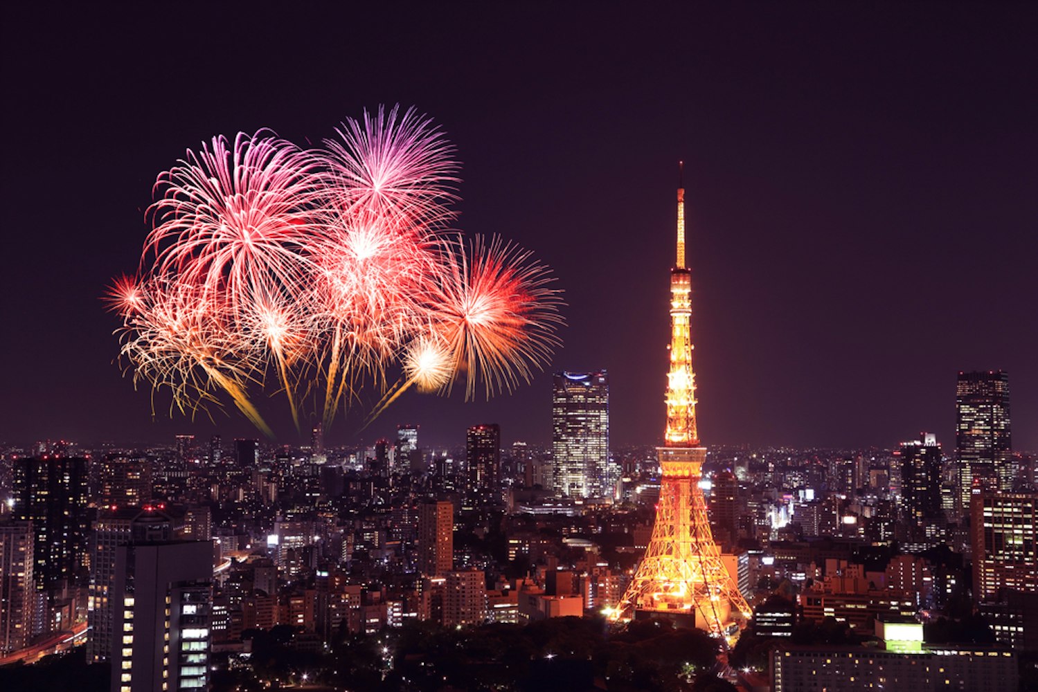 Japan New Year Celebration