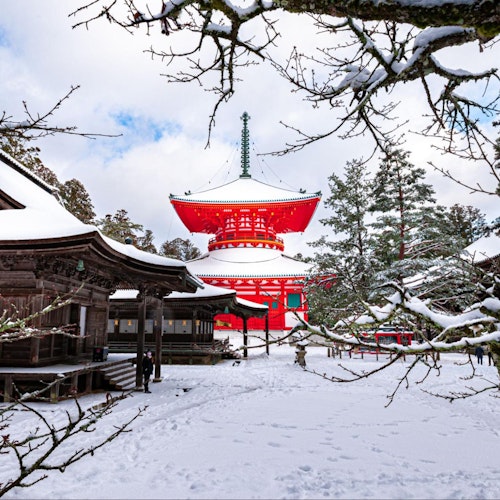 Mount Koya A snow-covered Buddhist temple complex, featuring a prominent red pagoda with an ornate spire, set against a backdrop of pine trees and a blue sky. The pathway is blanketed with snow, and traditional wooden buildings frame the serene winter scene.