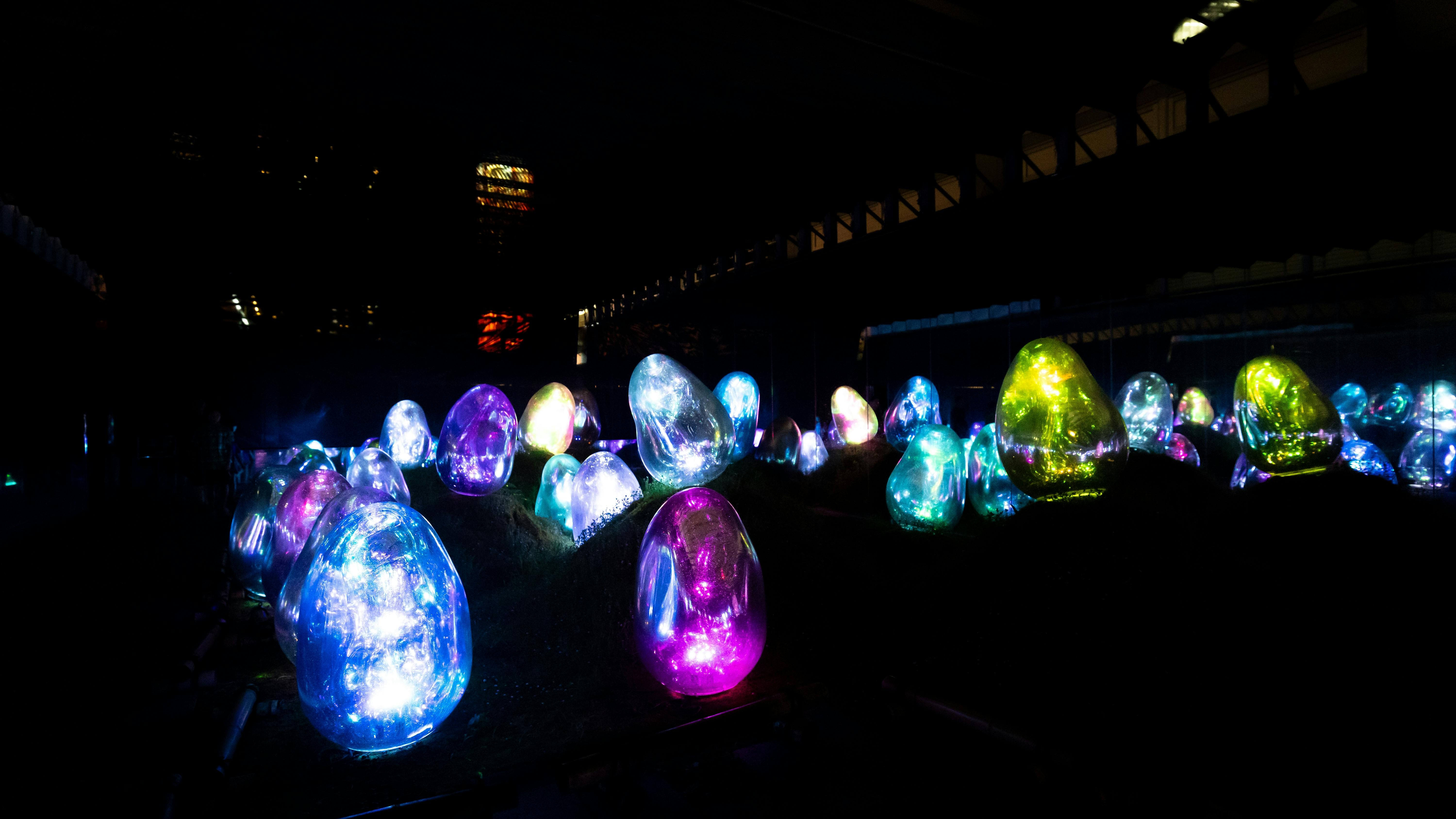 Digital Art Installations at teamLab Planets Tokyo - Trip To Japan