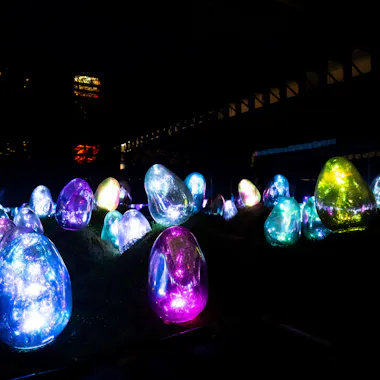 Moss Garden of Resonating Microcosms A variety of glowing, colorful egg-shaped sculptures are displayed in a dark outdoor setting. The illuminated eggs emit vibrant colors, including blue, pink, purple, yellow, and green, creating a magical and surreal atmosphere against the night sky.