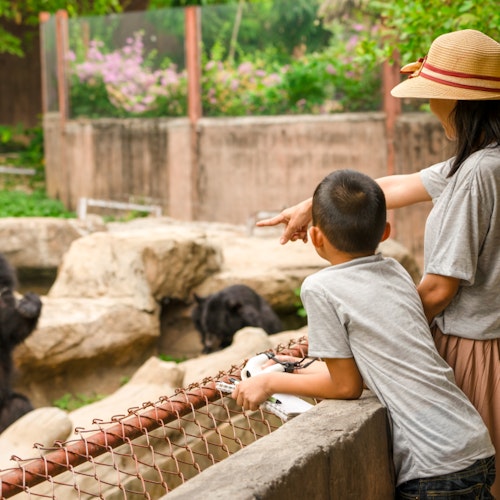 Osaka With Family Osaka With Family