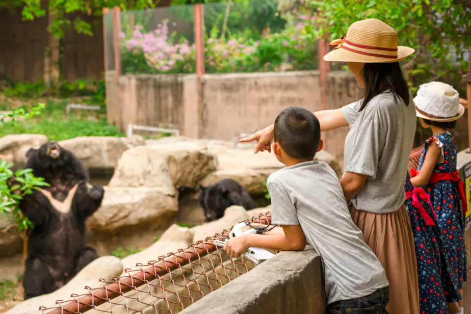 A woman and two children watch a bear at the zoo. The bear stands on its hind legs in a rocky enclosure. The woman points towards the bear while the children lean on the rail, wearing hats under bright daylight.