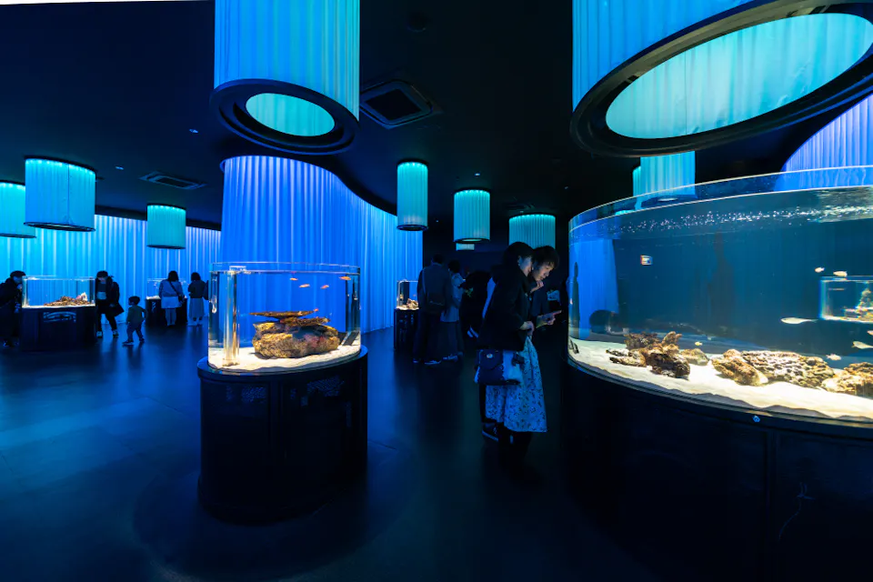 COLORS zone of NIFREL interactive aqua zoo