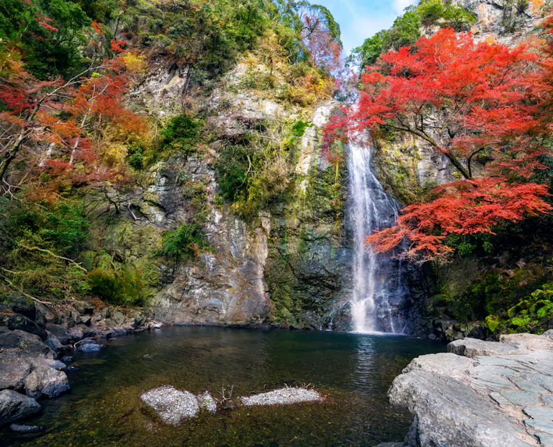 Minoo Waterfall in Autumn, Minoo Park Osaka, Japan A serene waterfall cascades into a clear pond surrounded by lush greenery and vibrant autumn foliage with red and orange leaves. Rocky terrain frames the water, under a bright blue sky.