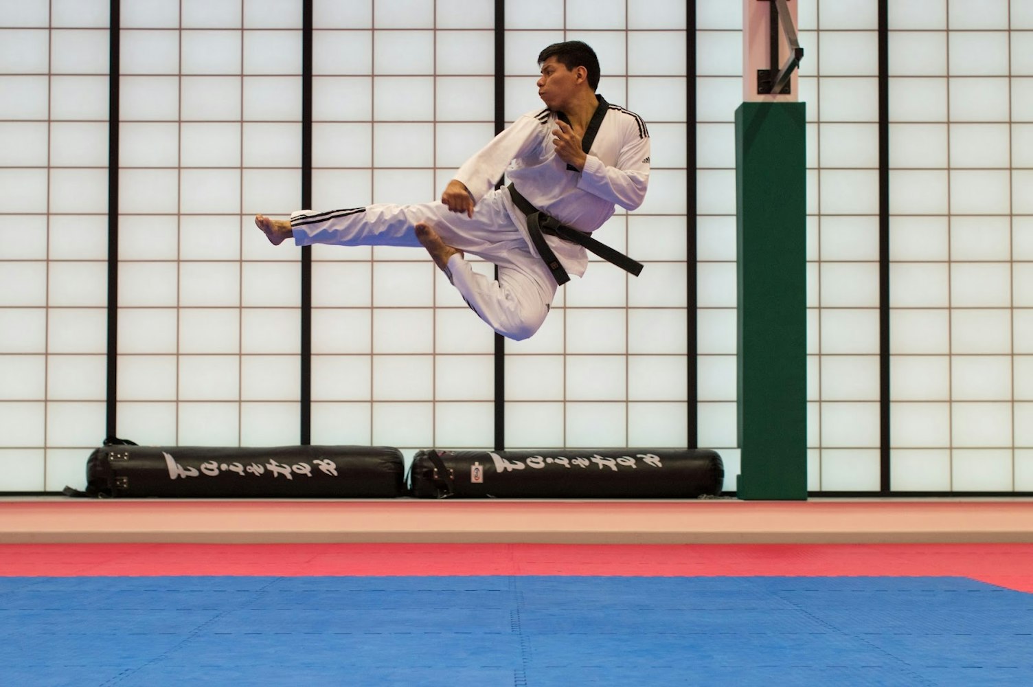 The Spirit of Budo: Grapple with Japanese Martial Arts and