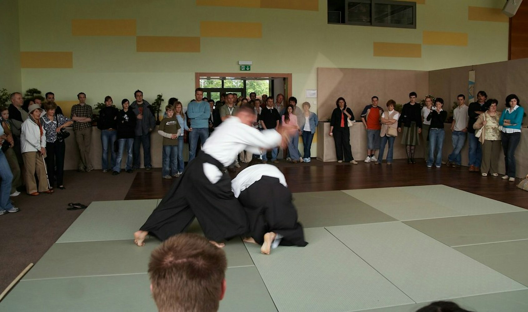 Aikido