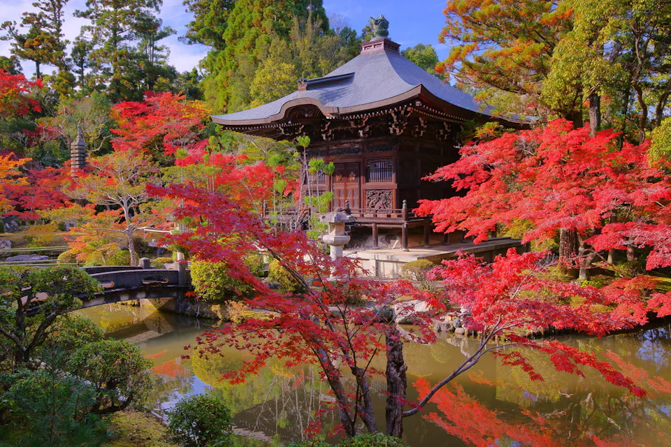 Wabi-Sabi Temple A serene scene of a traditional Japanese temple surrounded by lush greenery and vibrant red autumn leaves. The temple sits near a calm pond, reflecting the vivid colors and tranquil atmosphere of the garden.