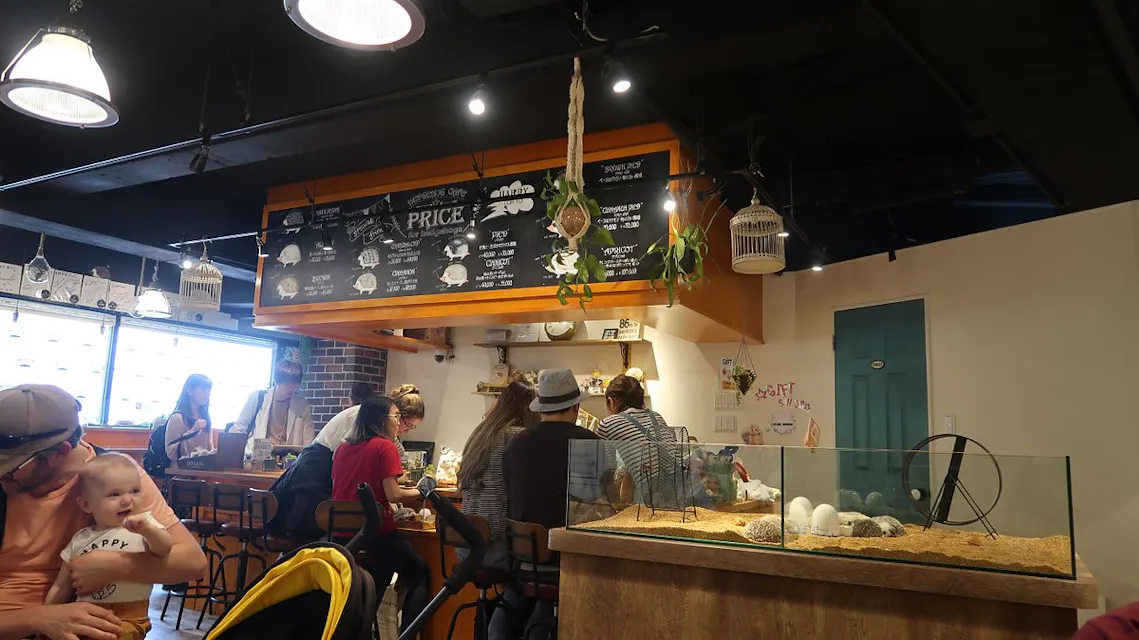Harry the Hedgehog Cafe‍