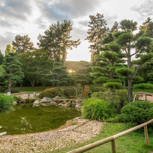 Japanese Garden Japanese Garden