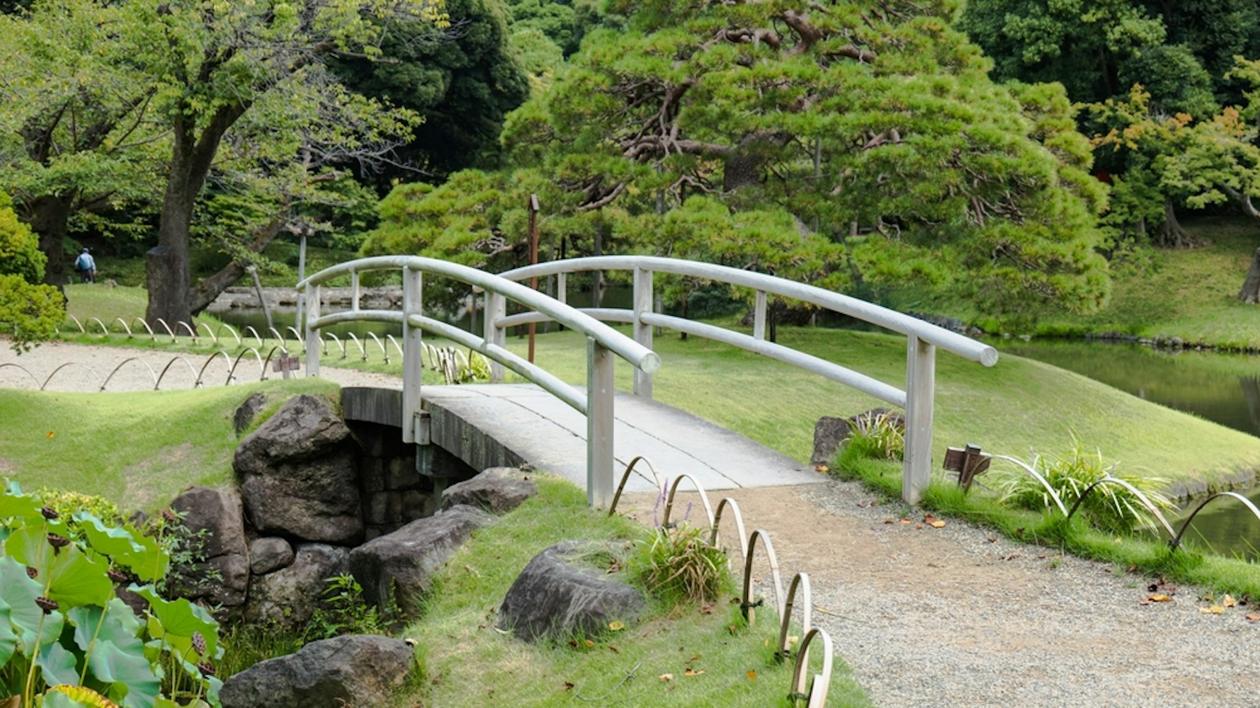 Scenic spot with white bridge at Koishikawa Korakuen garden, Okayama, Japan