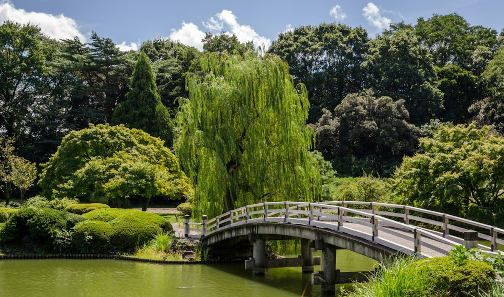 Ninomaru Garden in Tokyo Japan during summer day