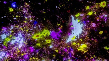 Light Show at teamLab Planets