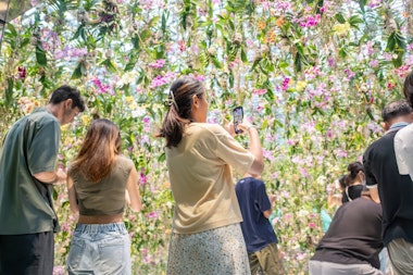 teamLab Planets Art Museum in Tokyo