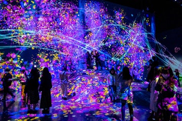 teamLab Borderless TokyoProjector and reflecting light effect art at teamLab Borderless Tokyo Odaiba,