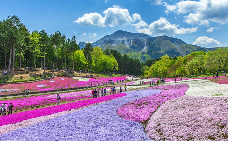 埼玉县 Trip To Japan