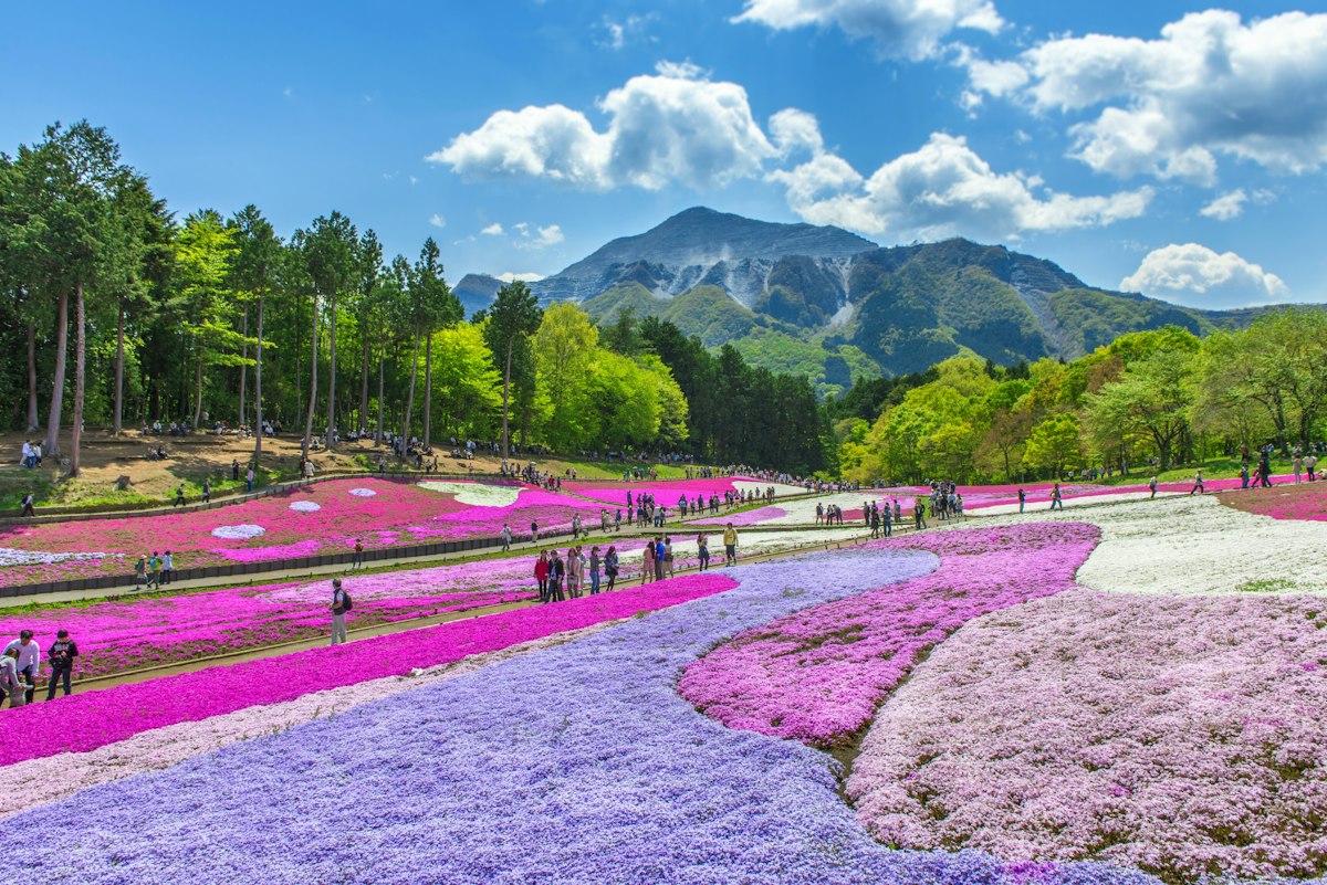 15 Best Things to Do in Saitama City, Japan - Trip To Japan