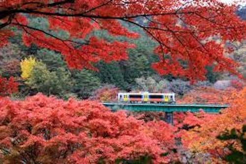 Fukushima