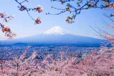 Mt. Fuji