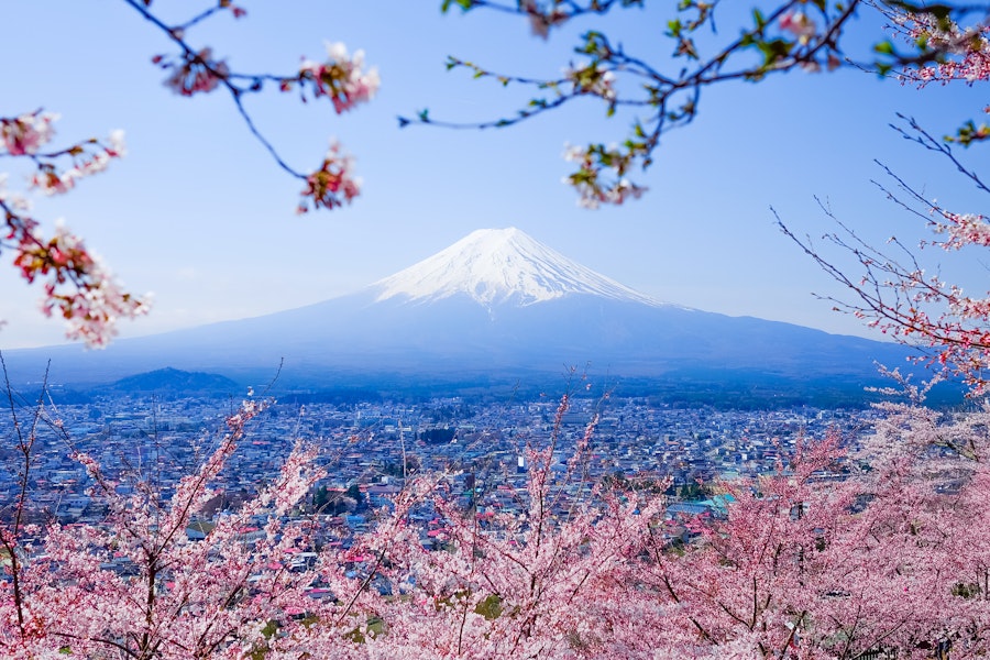 Mt. Fuji