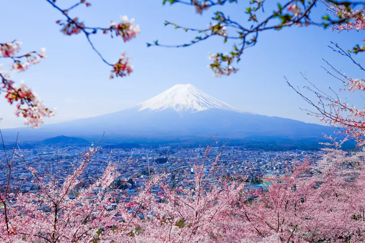 Mt. Fuji overview