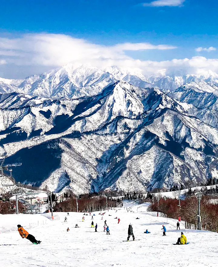 Niigata Niigata overview