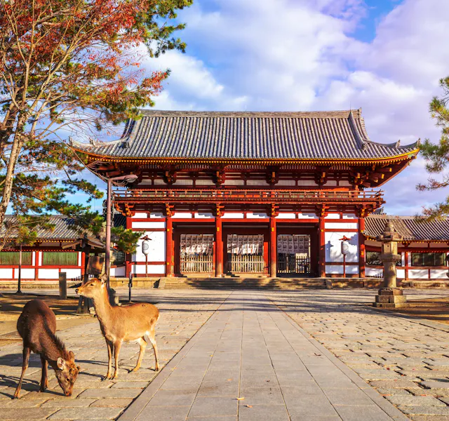 Nara Nara