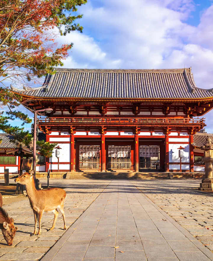 Nara Nara overview