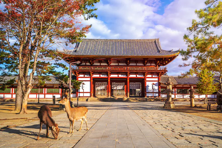 Nara overview