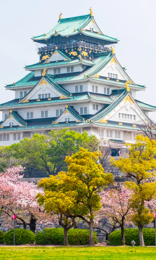 Osaka A traditional Japanese castle with green and gold roof stands among blooming cherry blossom and green trees, with modern buildings visible in the background.